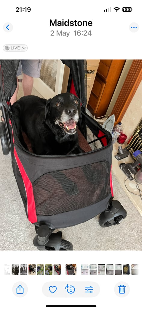 PawHut Foldable Dog Stroller