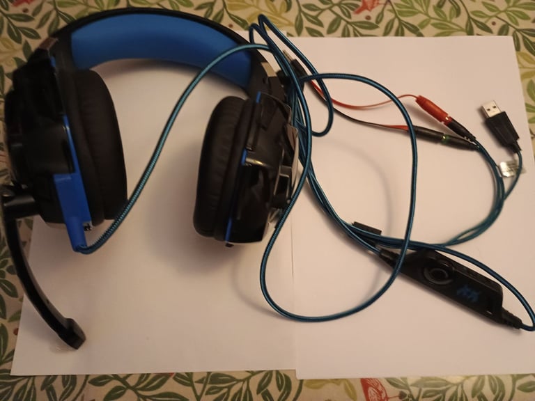 Large Headphones with Microphone 