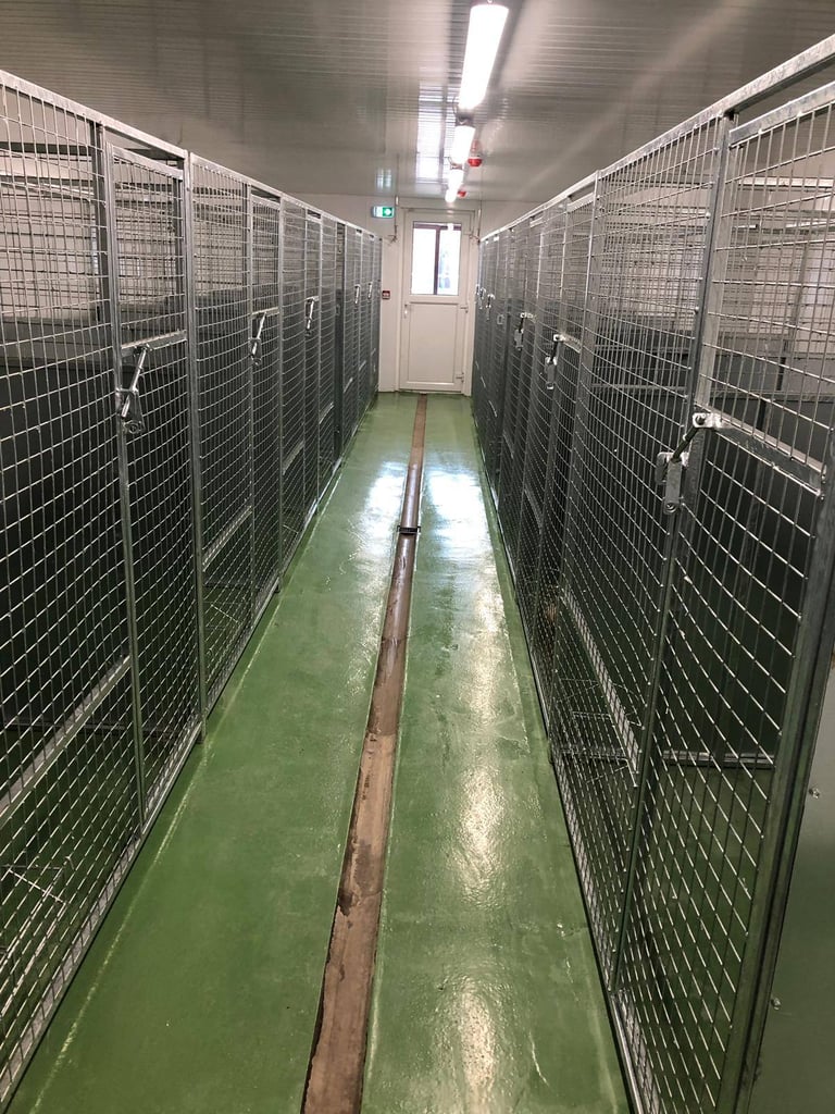 New galvanised dog cages pens enclosures  and kennels