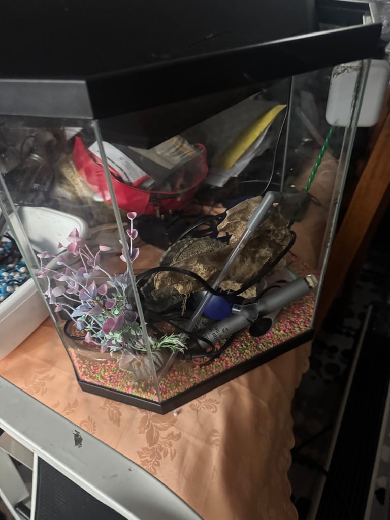 image for Half hexagon aquarium 