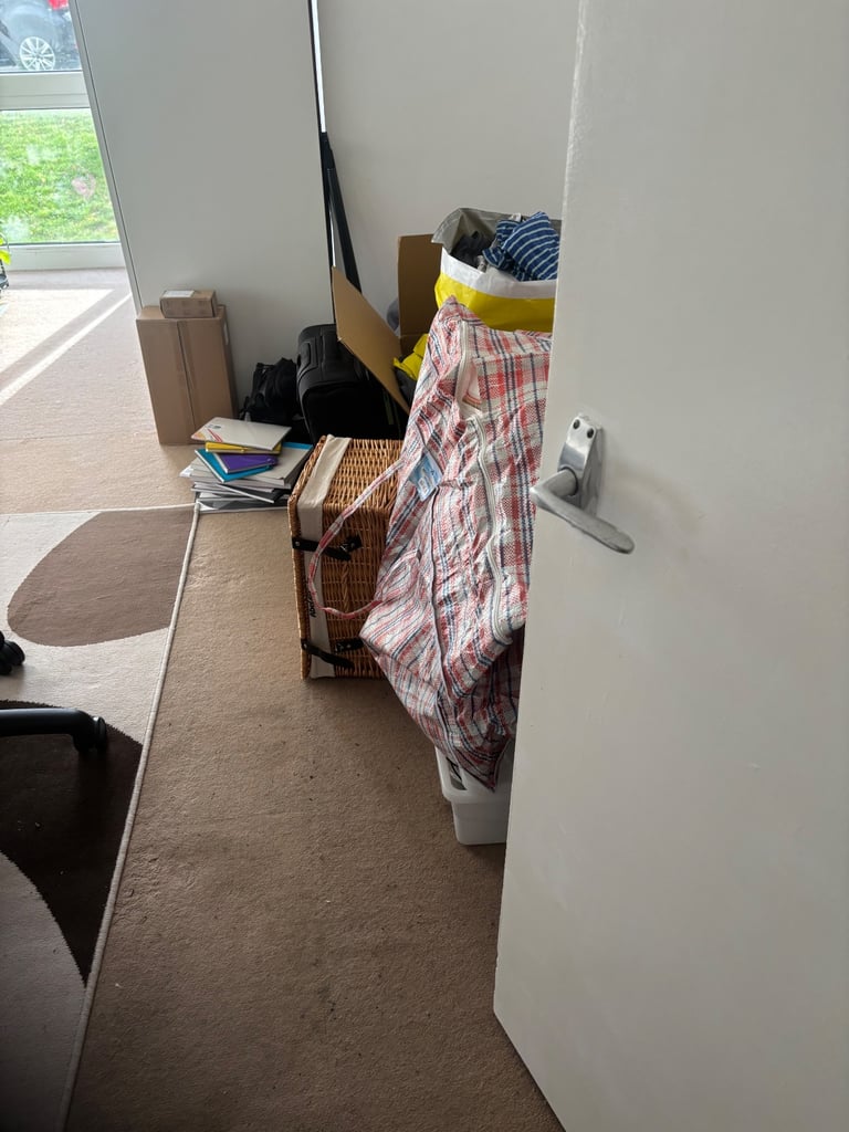 image for Rug - free 