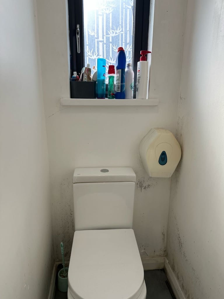 🌿 Lovely Double Room for Couple or 2 Girls – All Bills Included (£850) – E6 3LF 🌿  