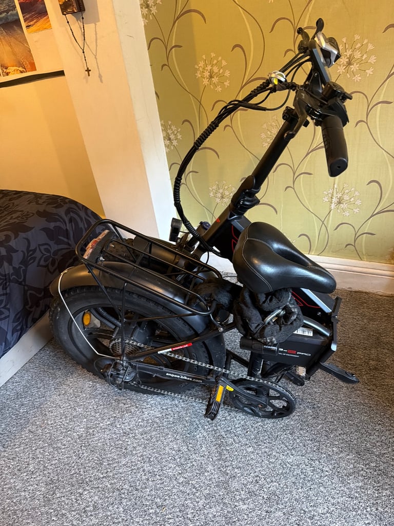 Fat tyres electric bike 