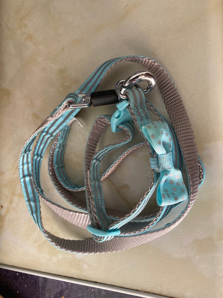 Puppy harness,collar & lead