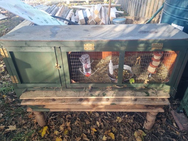 image for Hutch( and rabbit) for sale 
