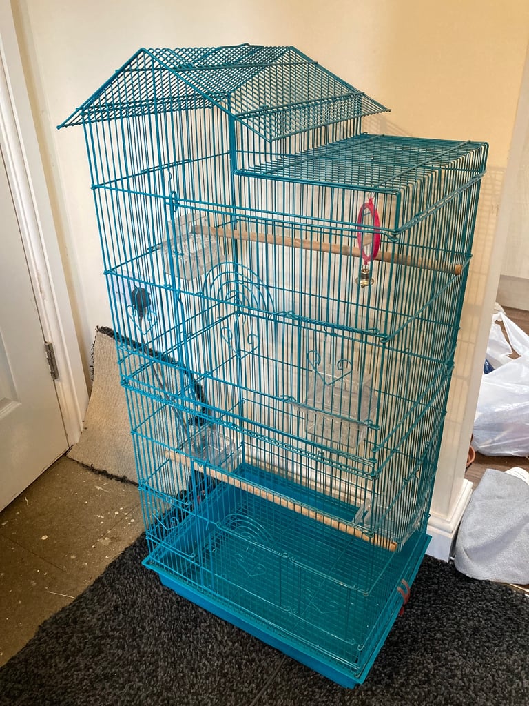 Bird cage 