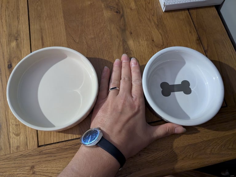 image for Cat or small dog bowls