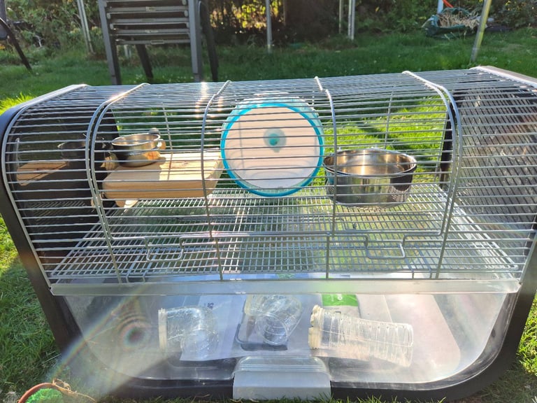 Gerbil cage