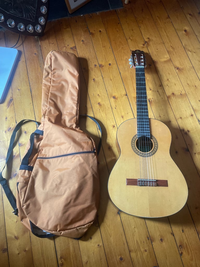 Takeharu acoustic Guitar GT-150 and orange case
