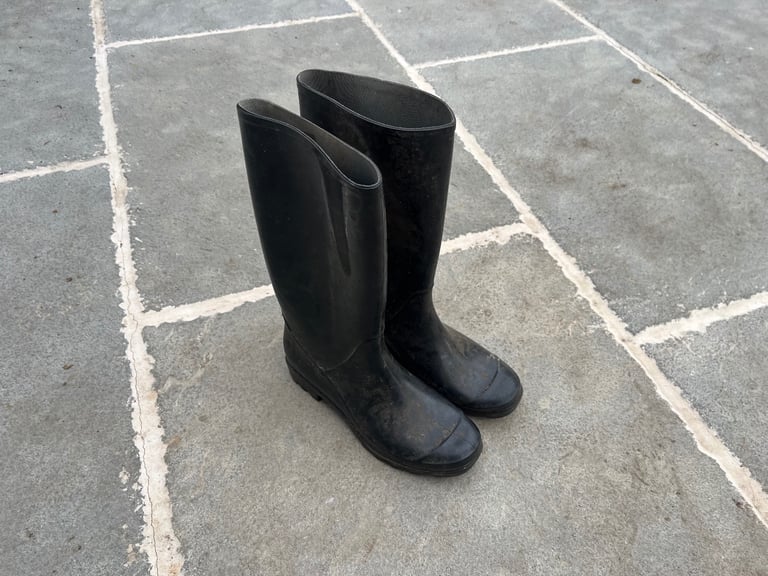 image for Welly Boots free 
