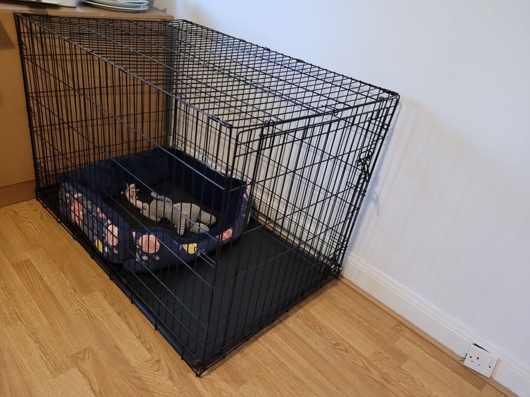 Large dog crate
