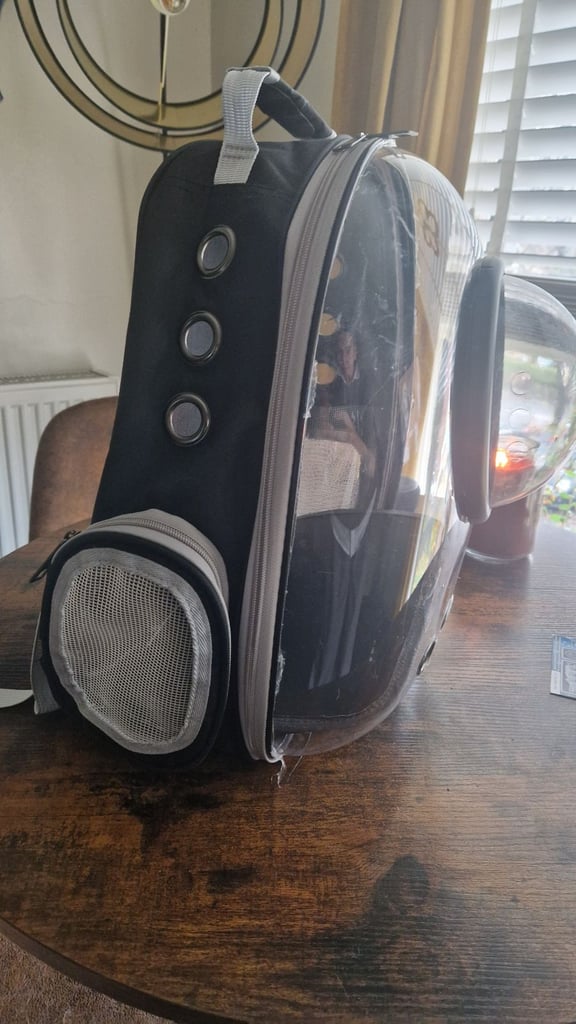 image for Cat bundle 