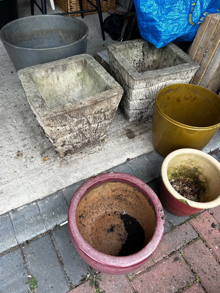 image for 6 Plant Pots - £10