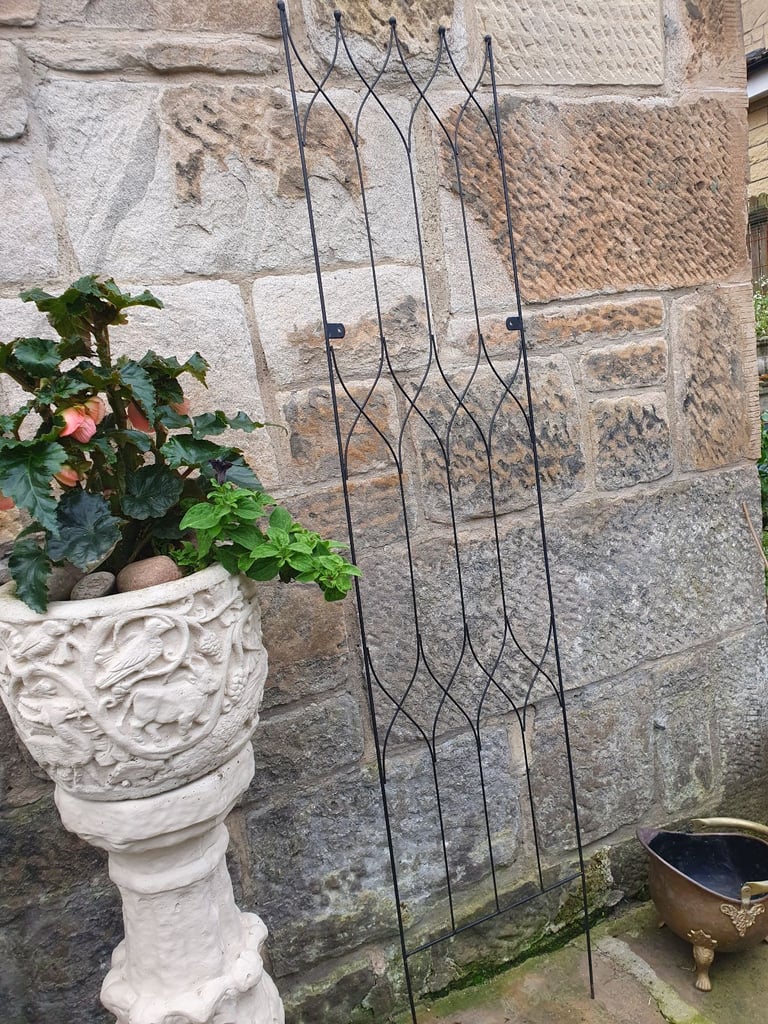 Large Metal Trellis Wall Climbing Garden Plant Frame Rose Support 1.8m x 40cm