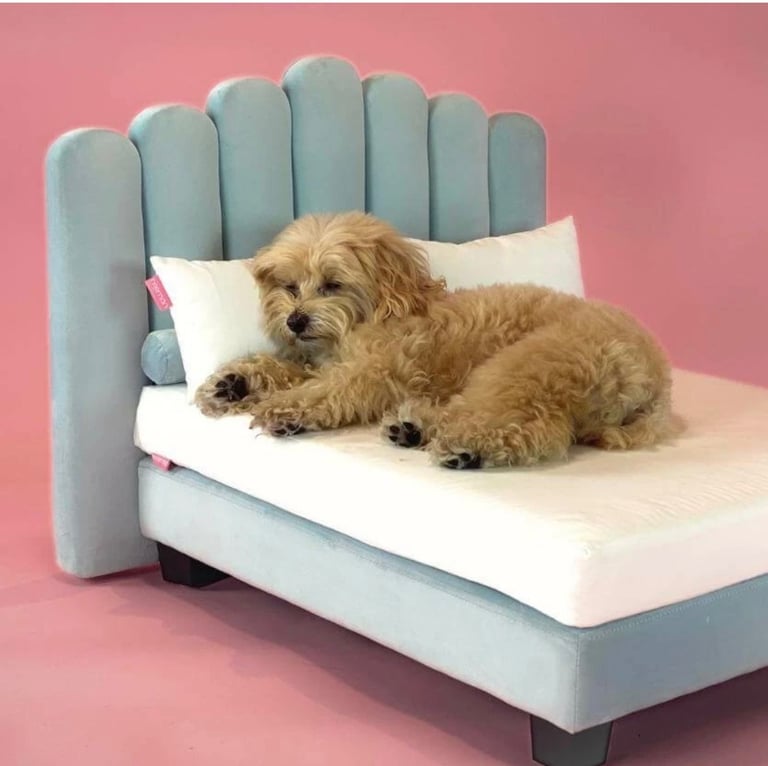  HOOMAN SOHO LUXURY HUMAN QUALITY PET BED  DOG – Riviera Blue | Model: LUX-SML-B