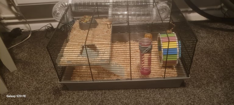 Hamster cage and accessories