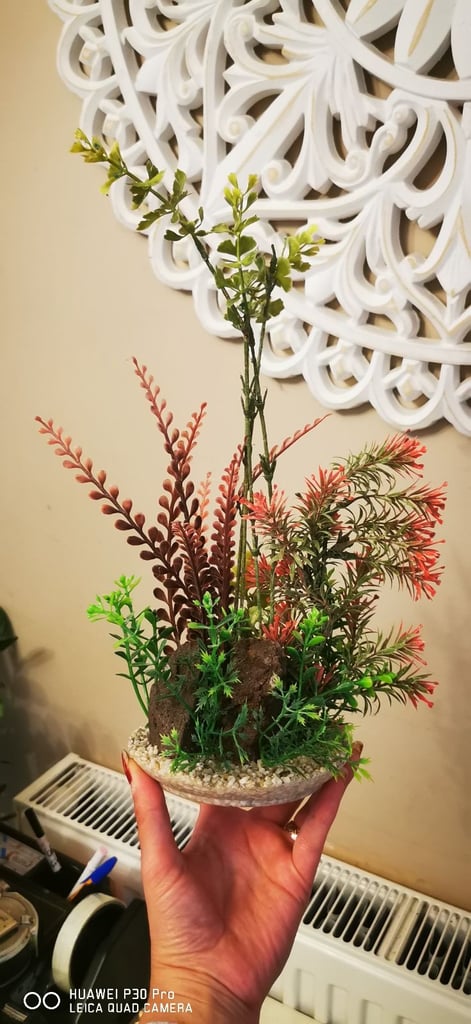 image for Aquarium decoration plants