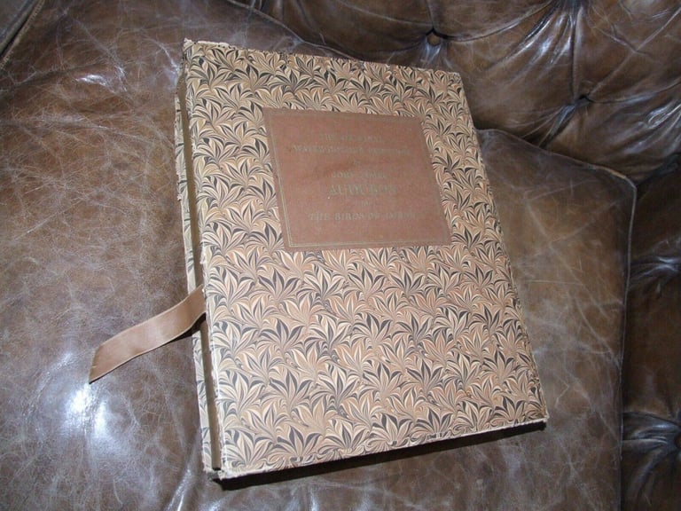 Paintings By John James Audubon For The Birds Of America (Two FINE Volumes In A Slipcase)