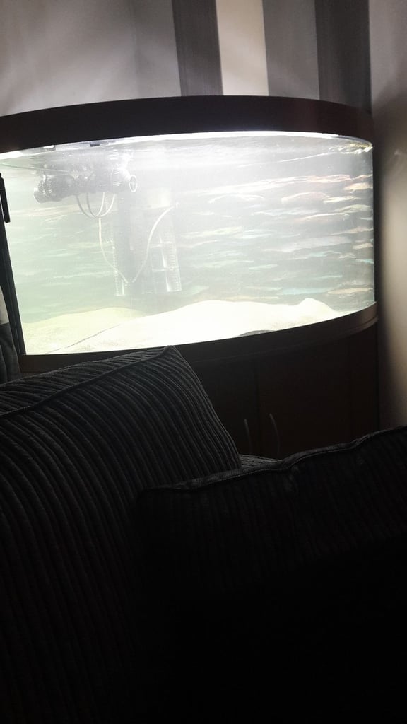 Trigon 350 Corner Quarium with LED Lighting