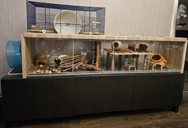 ** SOLD** Homemade Gerbilarium ( gerbil hamster cage ) with loads of Accessories 