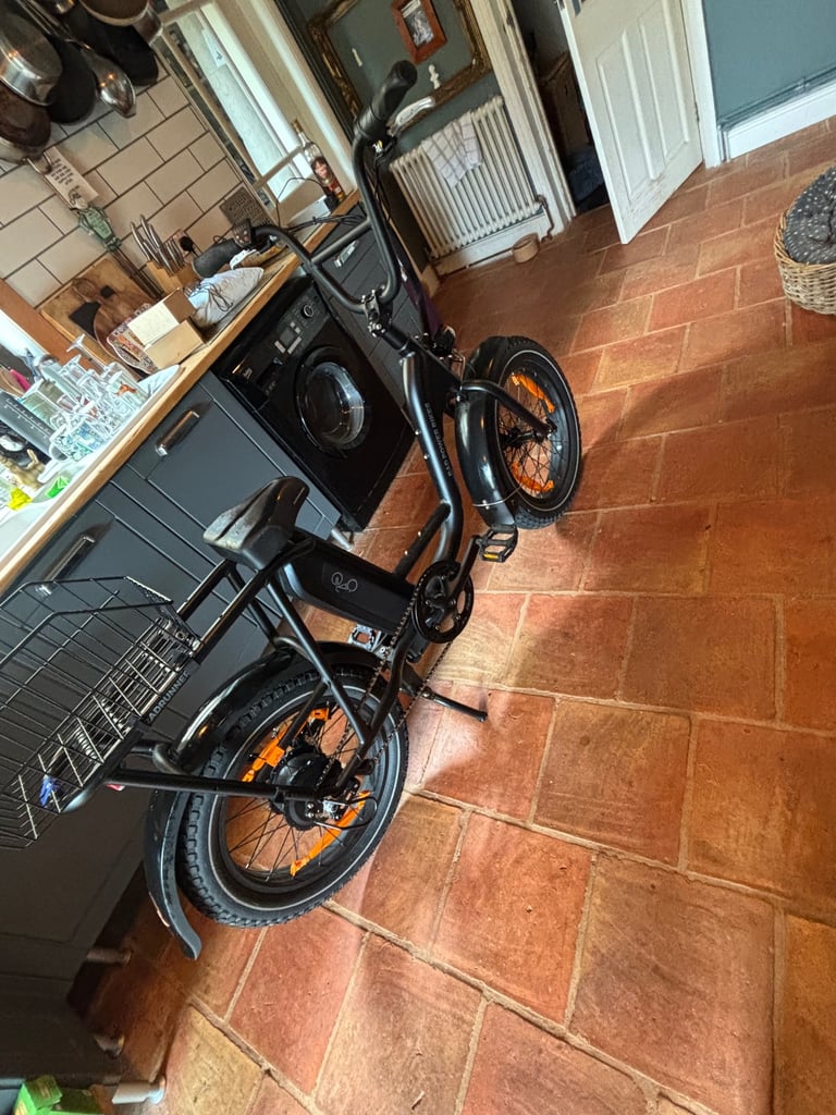 Electric Bike Rad Runner 2