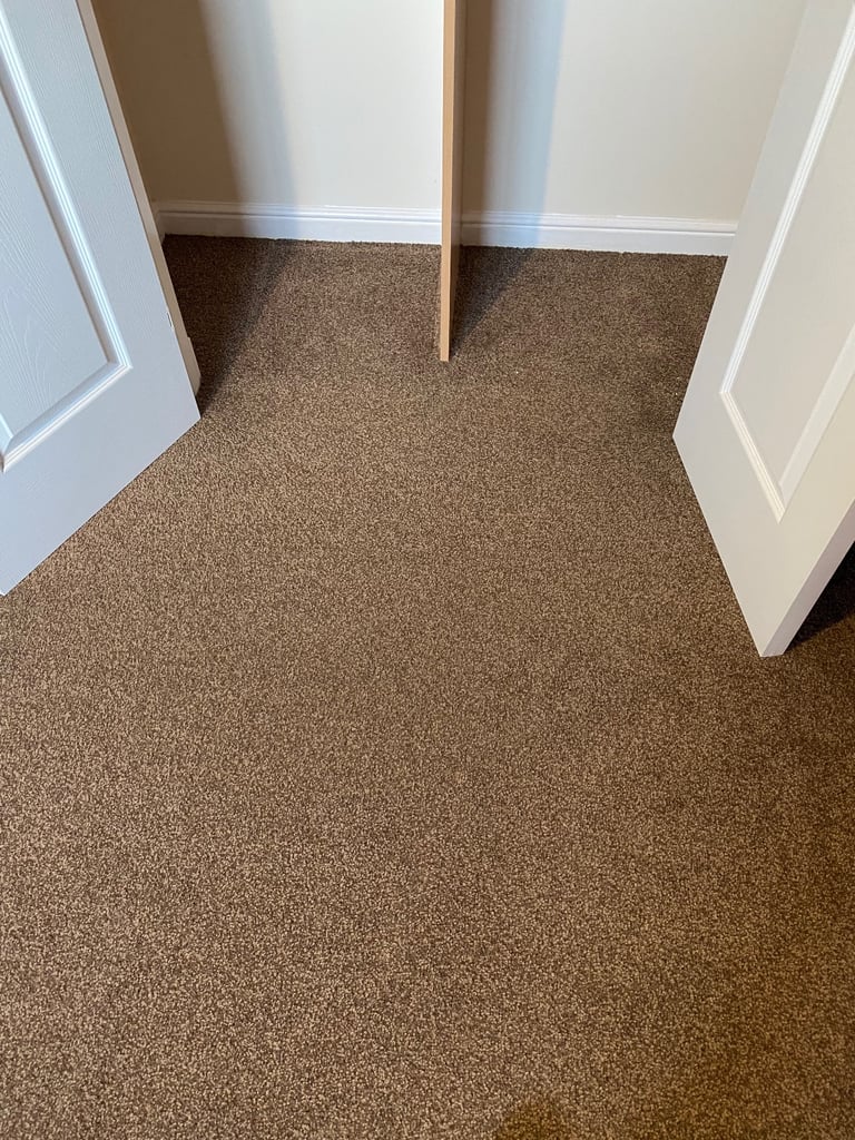 Bedroom carpet great condition - 10 square meter - bargain
