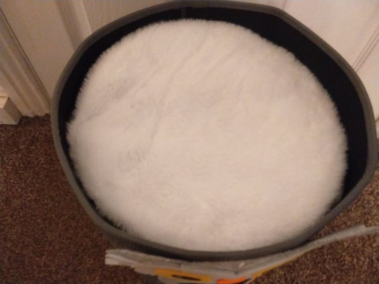 Cat beds. New just £10 each. 