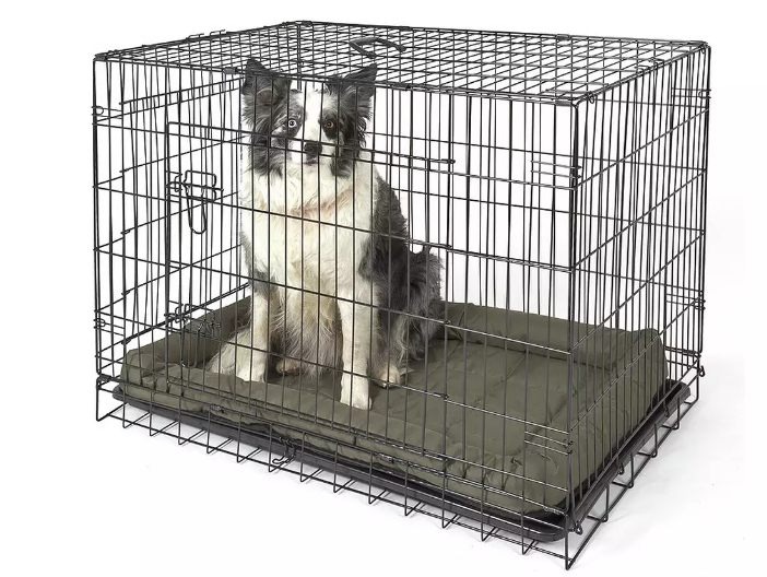 Large dog crate | Pet Equipment & Accessories for Sale - Gumtree