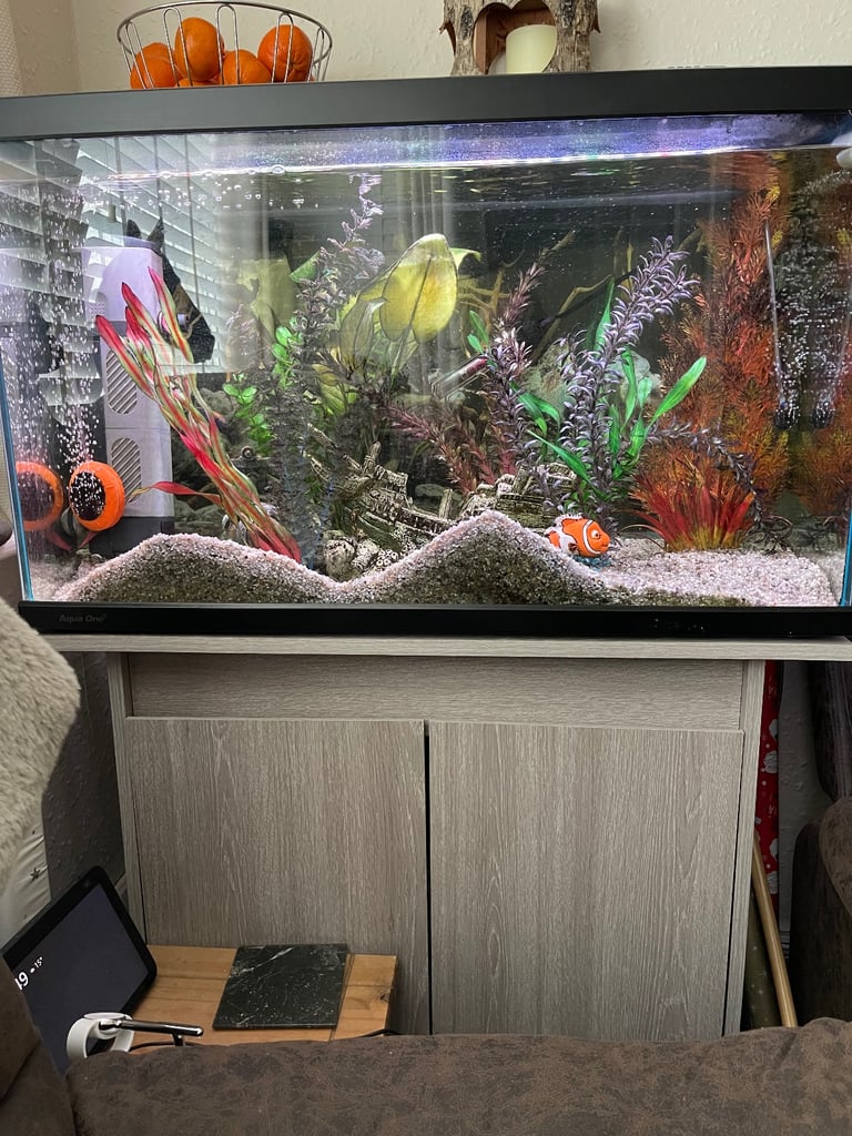 image for Fishtank