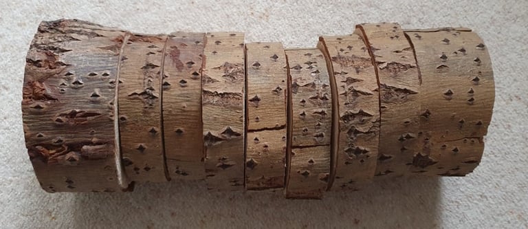 Sliced logs X 9 pieces 