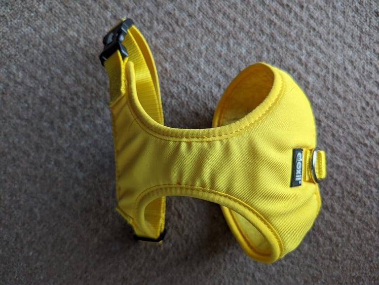 Dexil Sunburst Yellow harness for cat or small dog - I'd say its MEDIUM or LARGE size