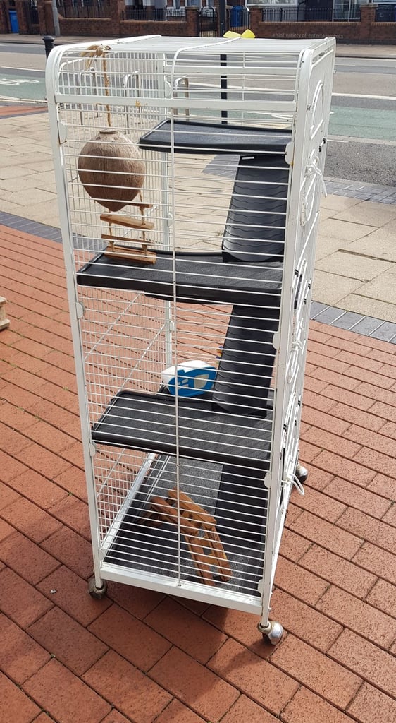 Pre-owned Ferret Metal Cage 