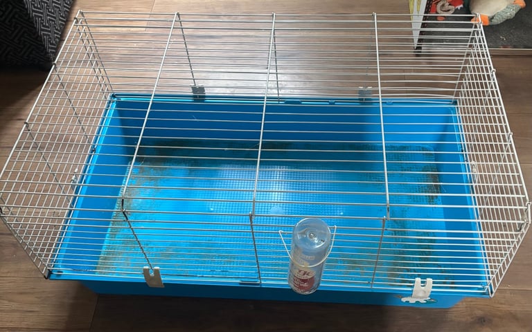 Rabbit or guinea pig cage