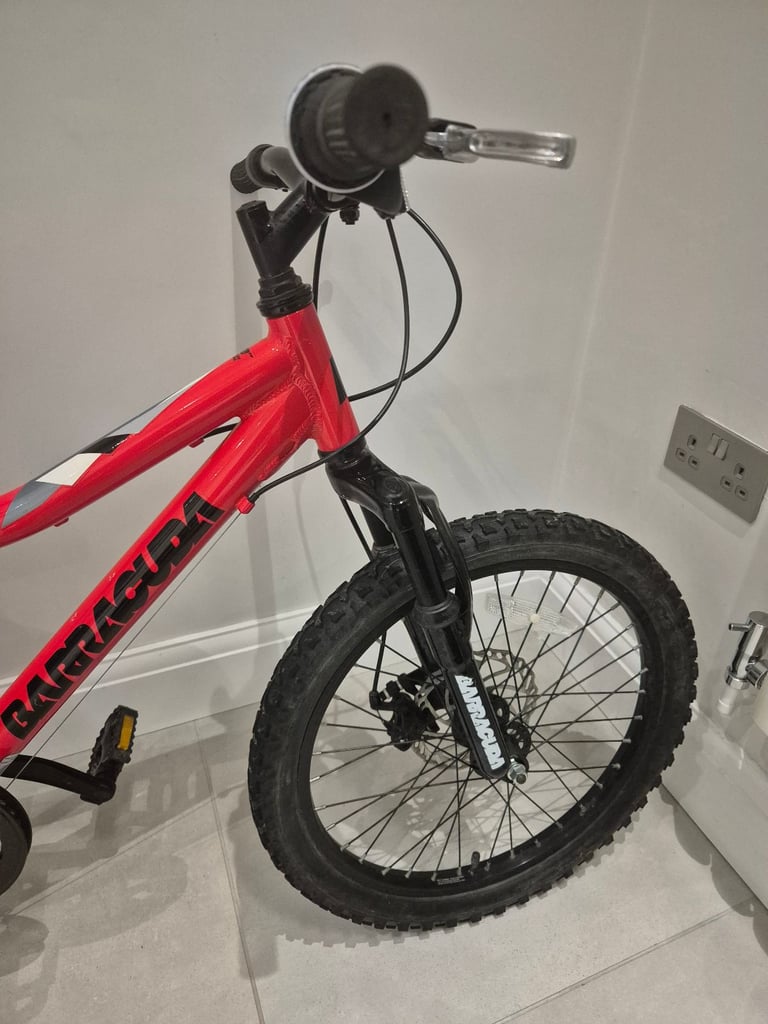 Childrens 20 inch Bike. 