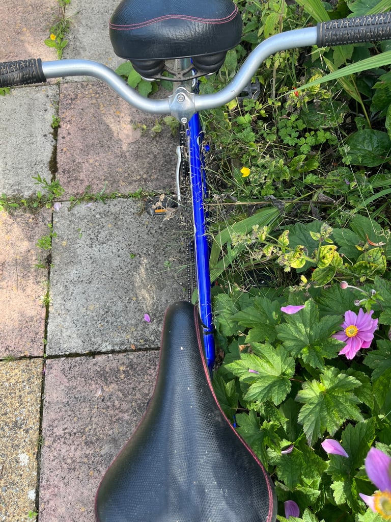 Electric tandem