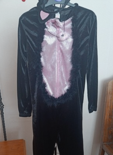 image for Cat Fancy Dress Costume | outfit |role play | Children's 7-9 years