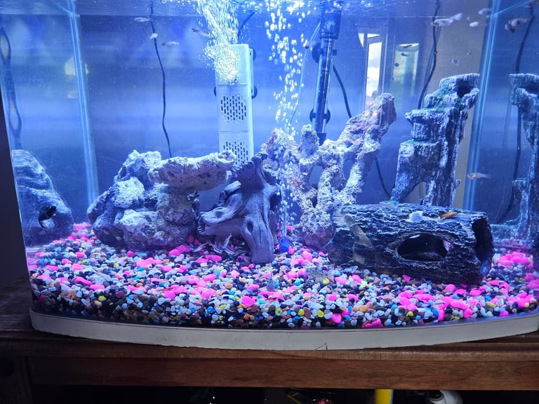 image for Fish tank 