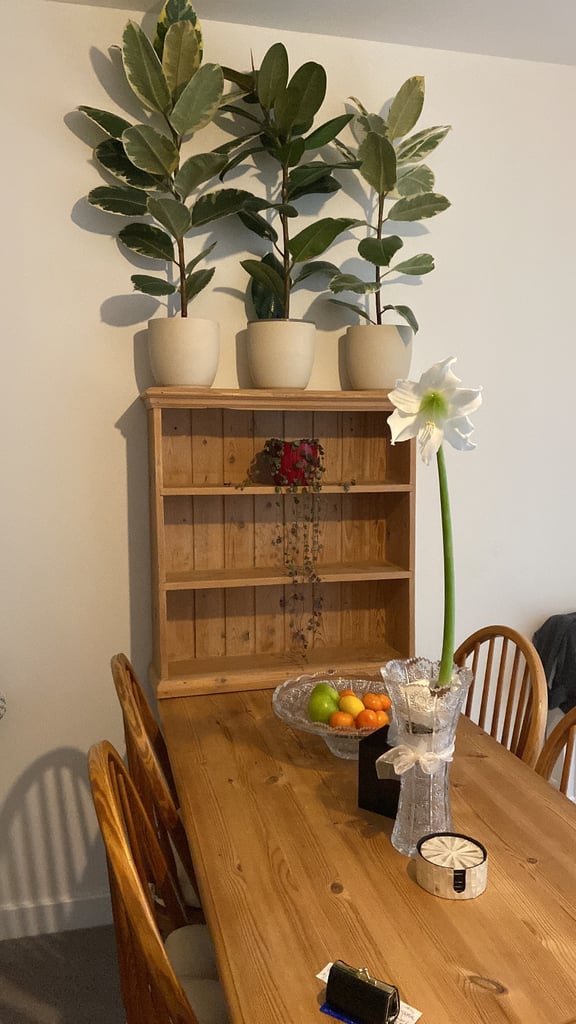 ‼️URGENT QUICK SALE pine wood  ‘ sanded’ Shelve unit 