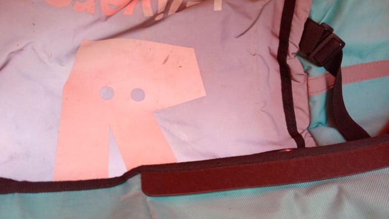 image for Deliveroo thermal bag, hot food, nut pay!!!