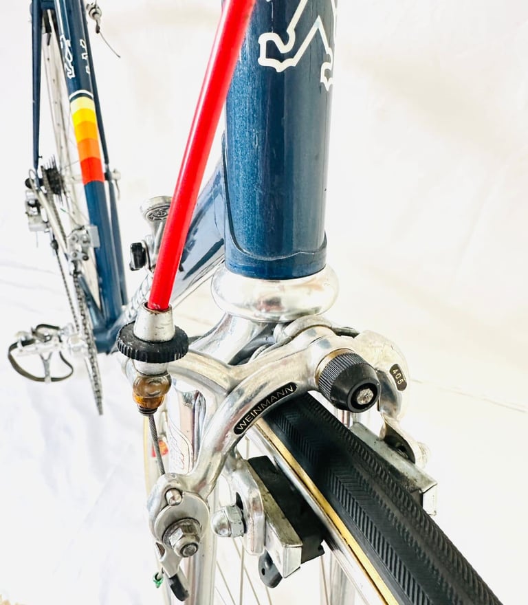 Pigeon VITUS Size/58 spDDd9a Original Spec Simplex Road Bike