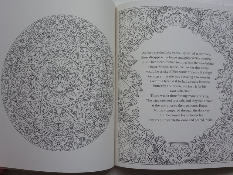 IVY AND THE INKY BUTTERFLY STORY AND COLOURING BOOK