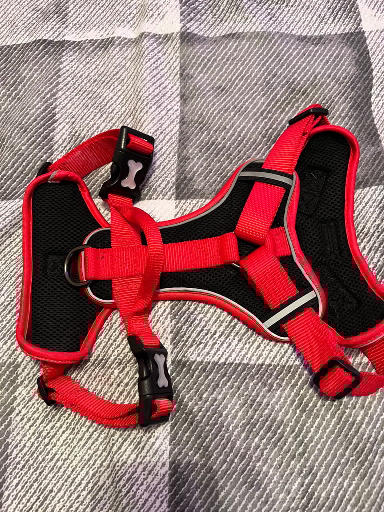Small dog harness 