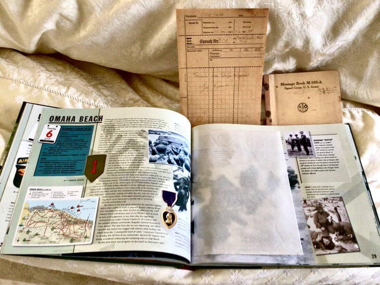 THE D-DAY EXPERIENCE FROM THE INVASION TO THE LIBERATION OF PARIS