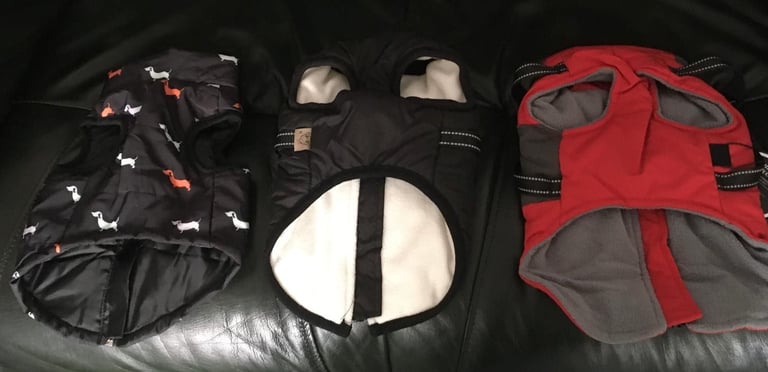 dog coats for smaller dog
