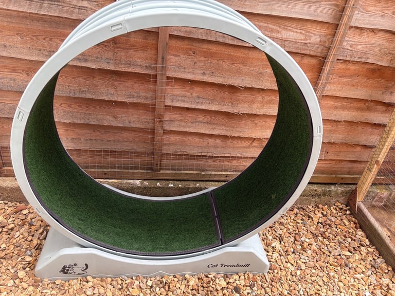 Cat wheel - outdoor/indoor