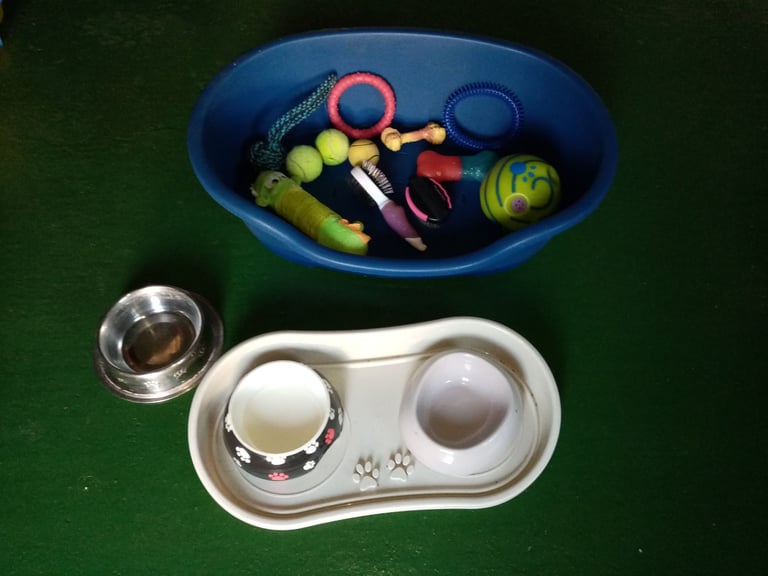 image for Dog Essentials Bundle