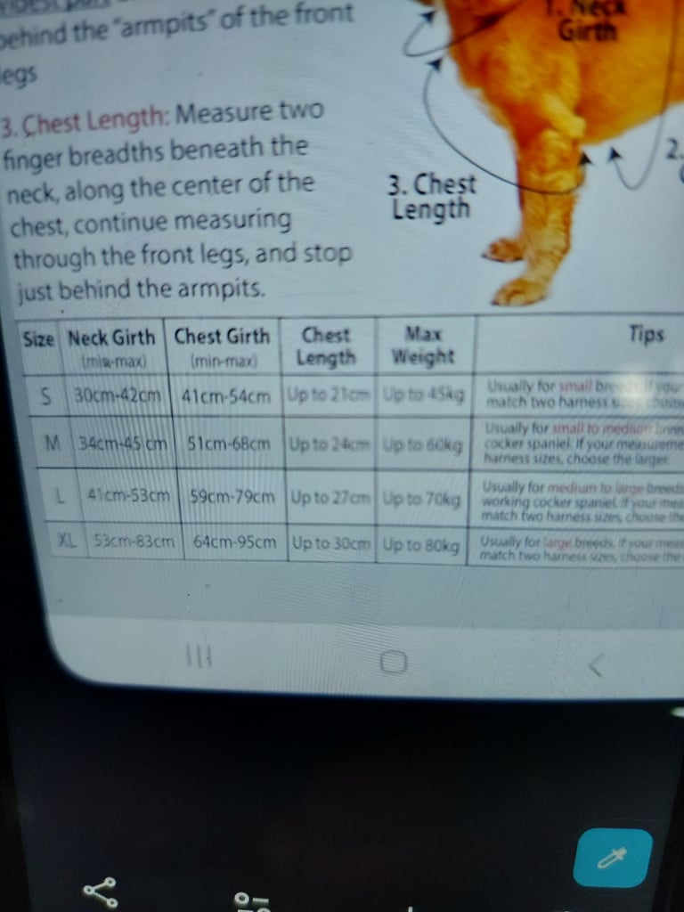 Brand new dog harness 