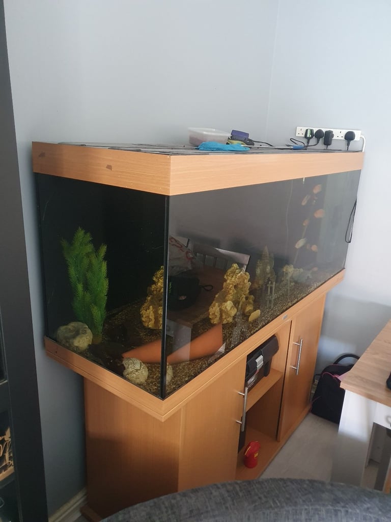 5 ft fish tank 