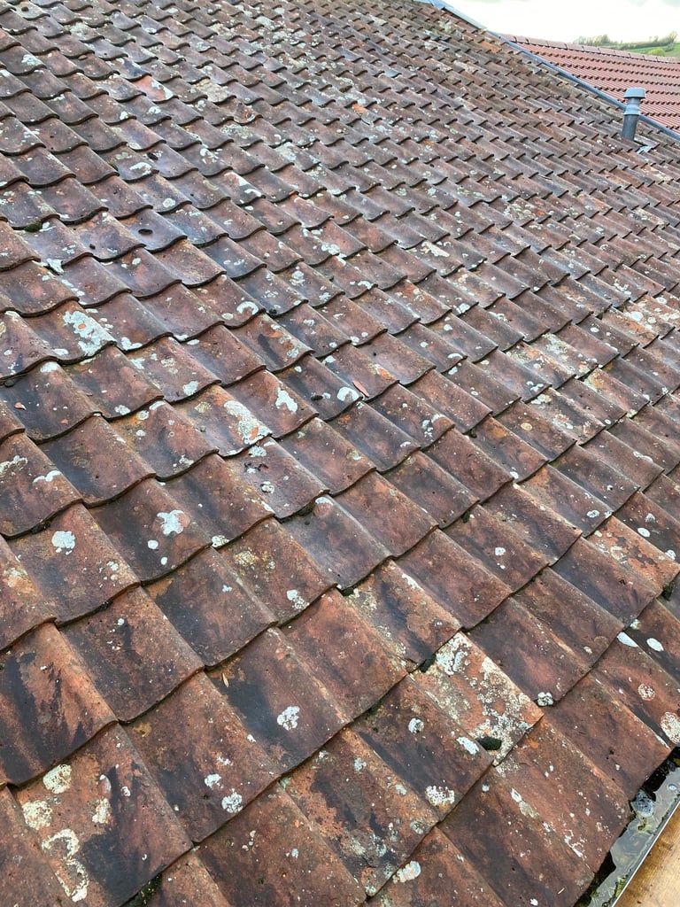1200+ pan roof tiles reclaimed antique DIY clay