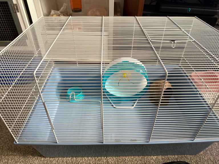 image for Hamster cage for Syrian hamster 